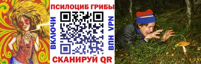 Псилоцибиновые грибы мицелий  цена наркотик  Макушино 